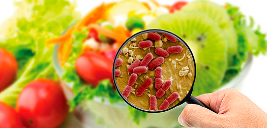 Food Microbiology